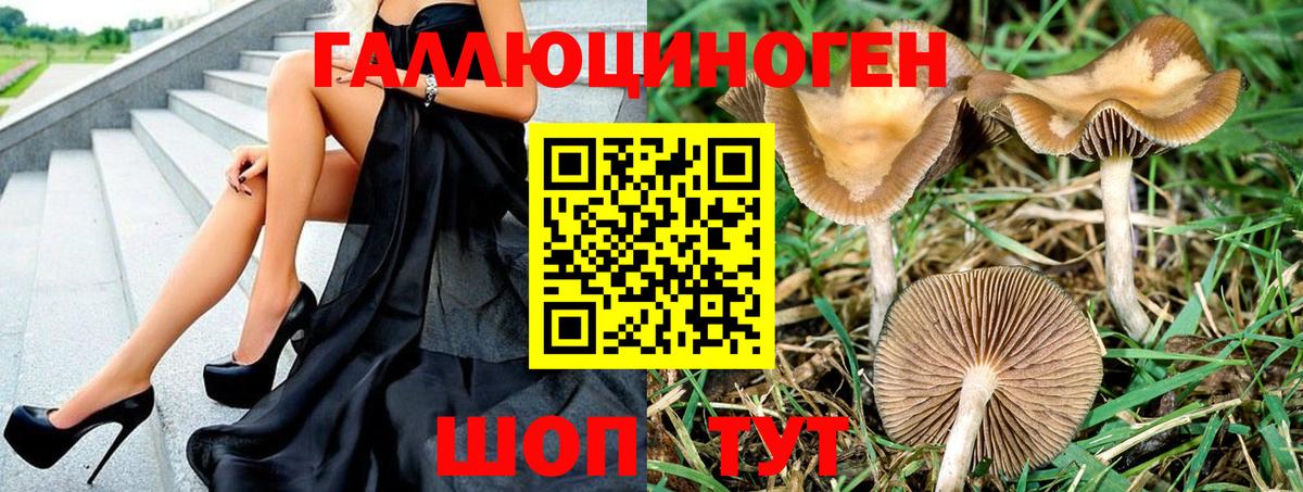 Псилоцибиновые грибы мицелий  Вход с VPN  Псилоцибиновые грибы мицелий  Чехов 